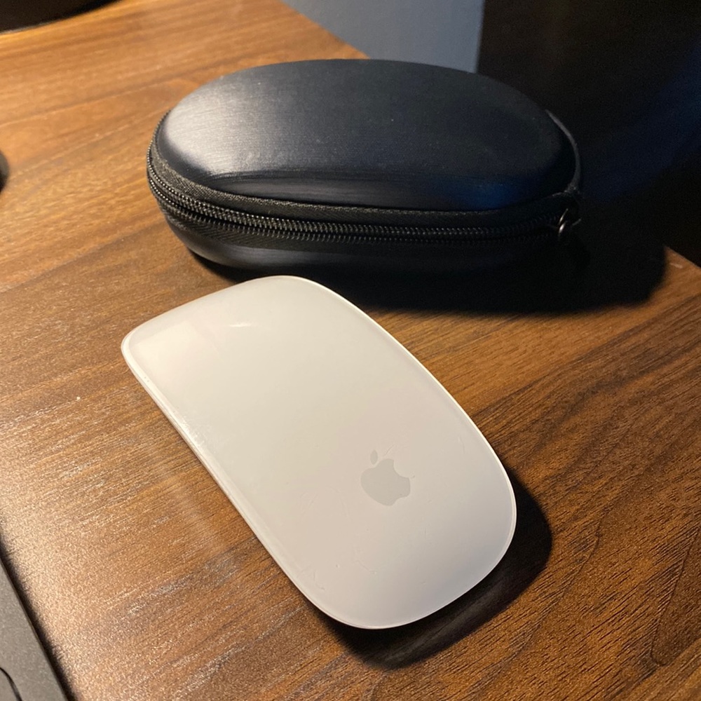 Apple Magic Mouse and Case